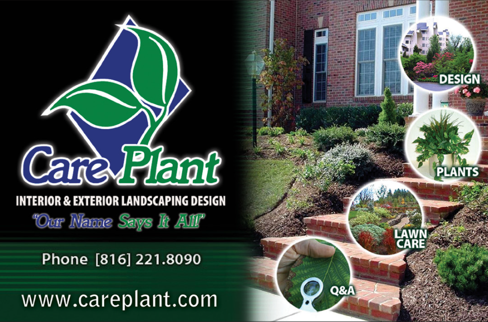 A landscape design with landscaping and maintenance.